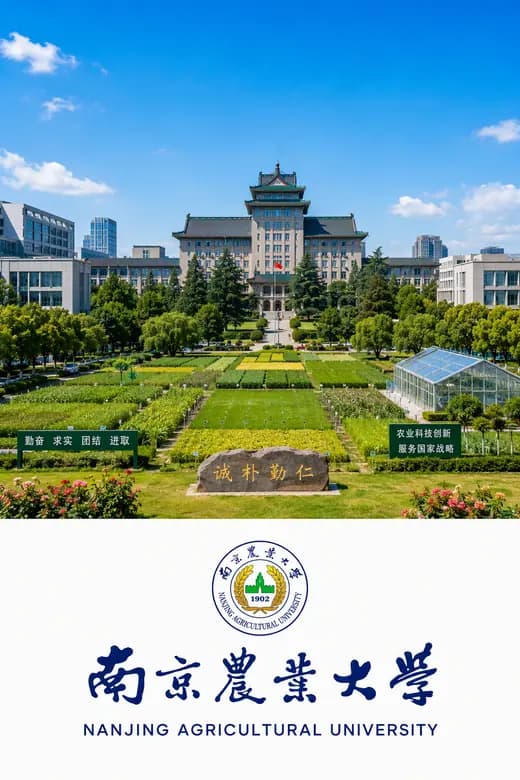 University campus 27
