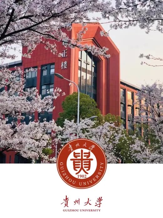 University campus 4