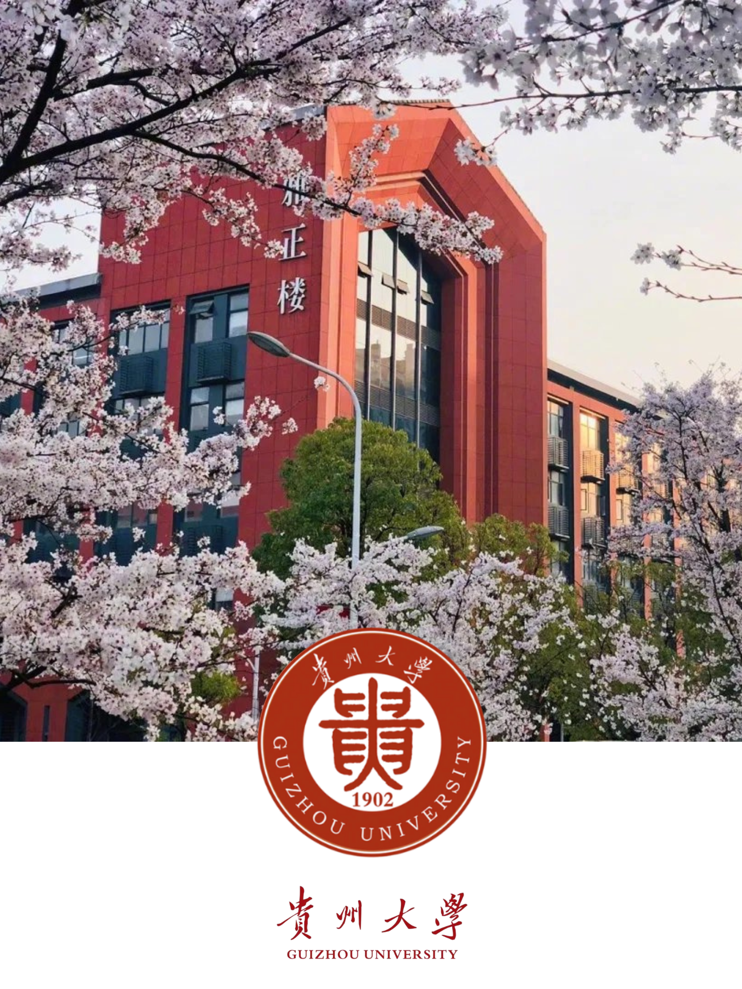 University campus 4